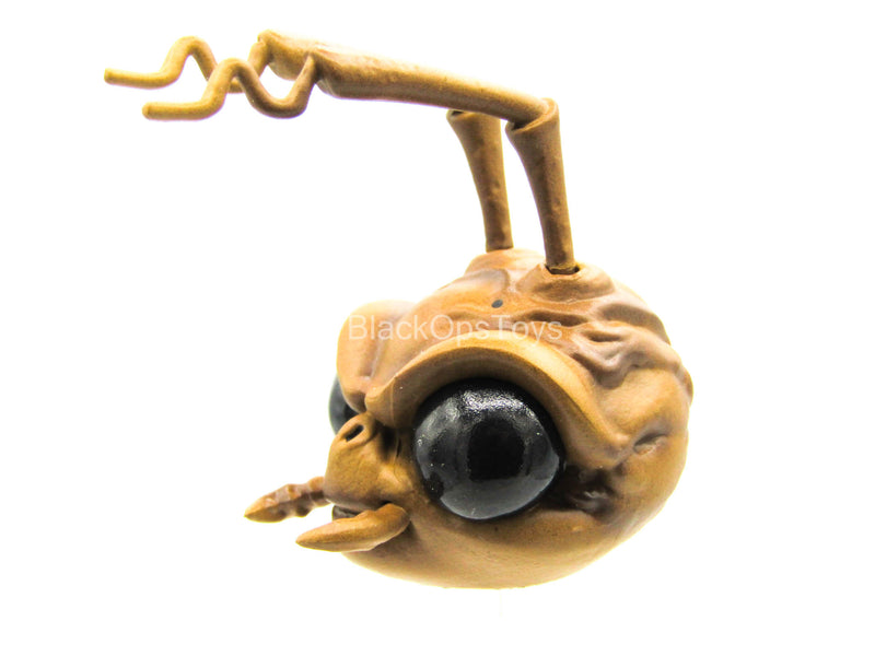 Load image into Gallery viewer, 1/12 - Hazard Squad Bodega Box - Ant Head Sculpt Type 2
