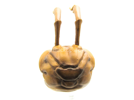 1/12 - Hazard Squad Bodega Box - Ant Head Sculpt Type 2