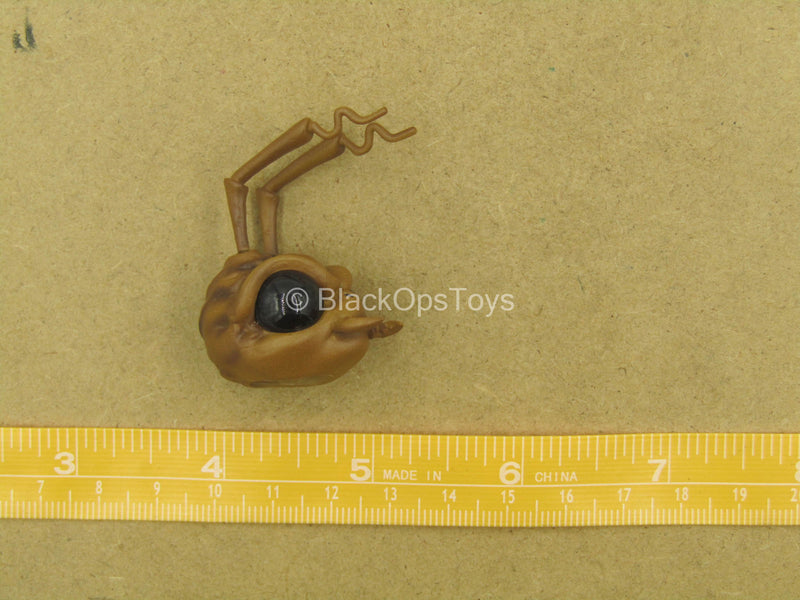 Load image into Gallery viewer, 1/12 - Hazard Squad Bodega Box - Ant Head Sculpt Type 2
