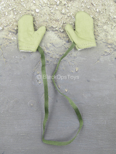 Sino-Vietnamese War - Green Gloves