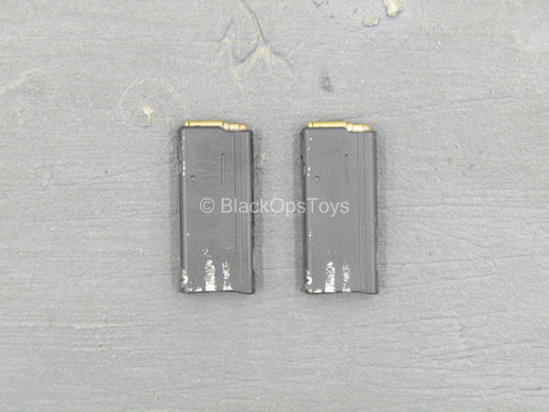 The Punisher - Grey Rifle Magazine (x2)