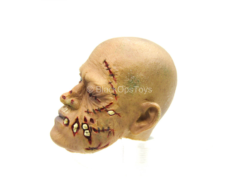 Load image into Gallery viewer, The Zombie - Male Zombie Head Sculpt
