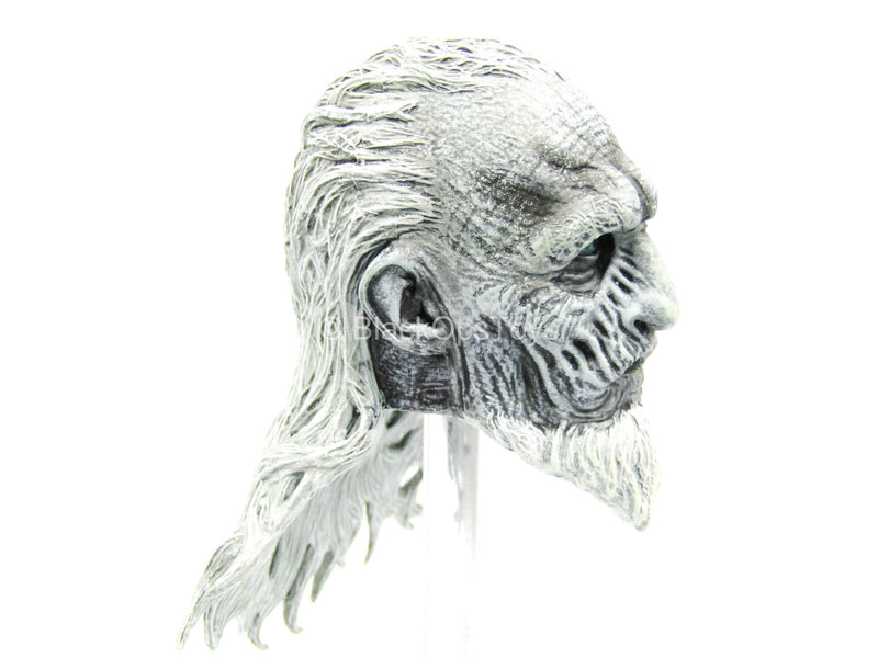 Load image into Gallery viewer, GoT - White Walker - Male Head Sculpt
