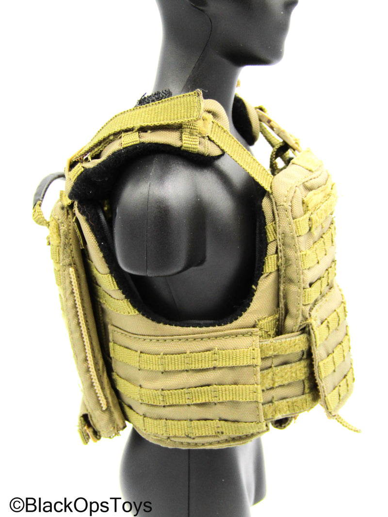 Load image into Gallery viewer, Flagset - Coyote Tan MOLLE Combat Vest
