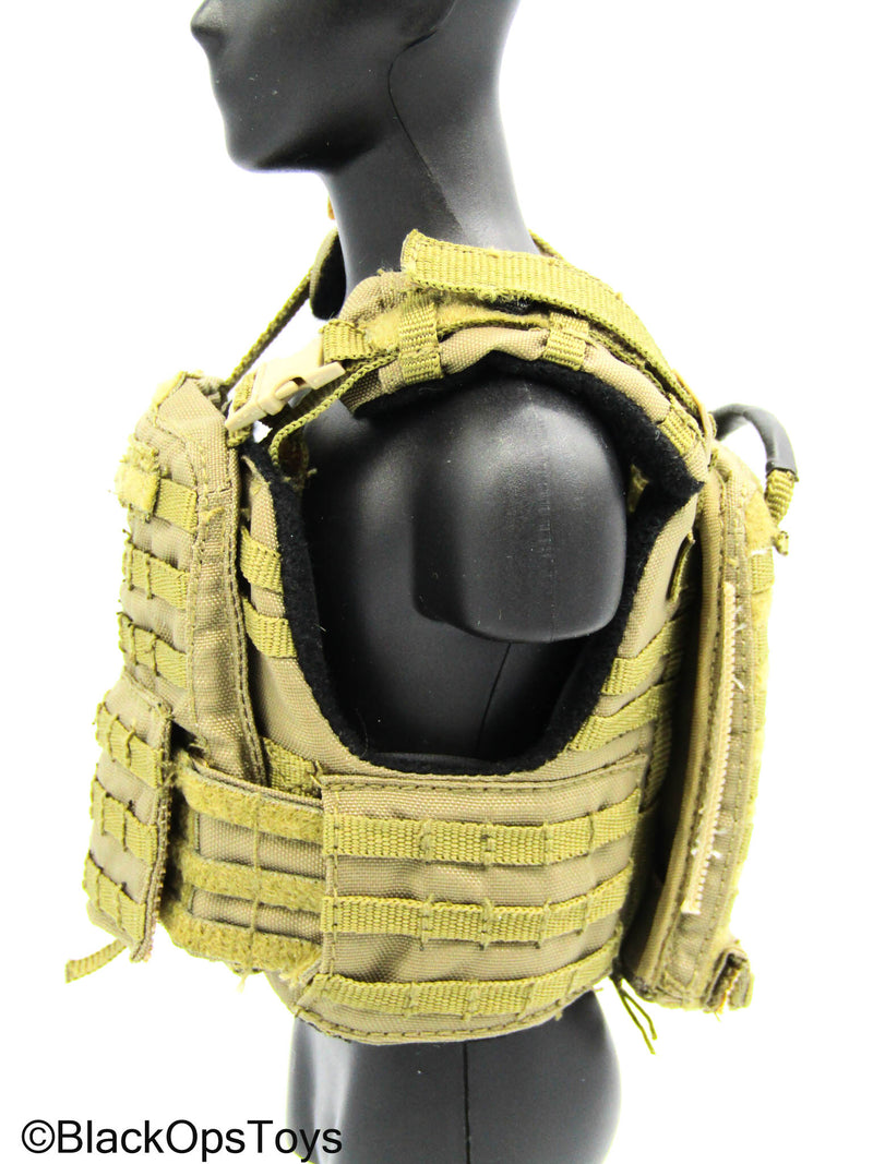 Load image into Gallery viewer, Flagset - Coyote Tan MOLLE Combat Vest
