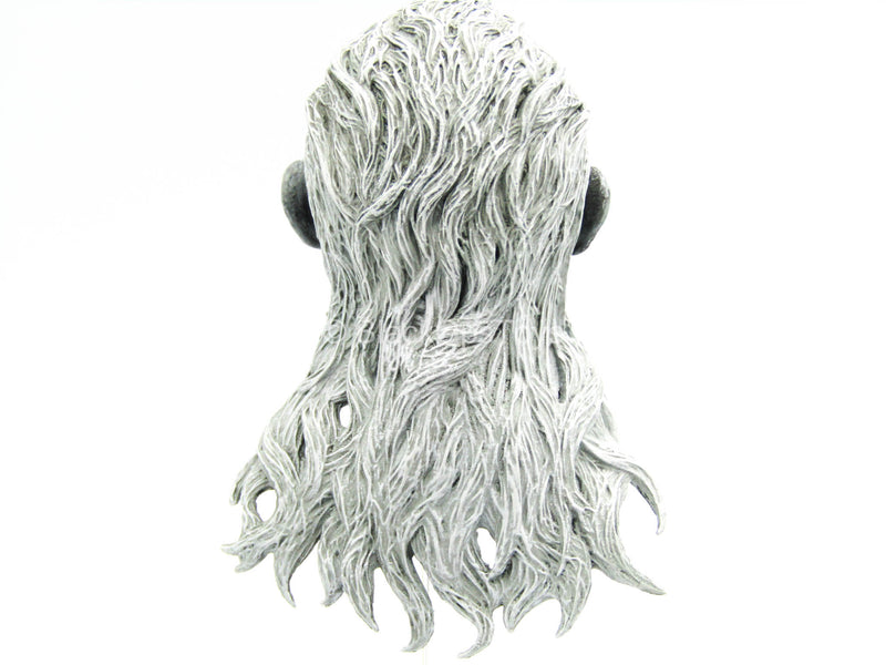 Load image into Gallery viewer, GoT - White Walker - Male Head Sculpt
