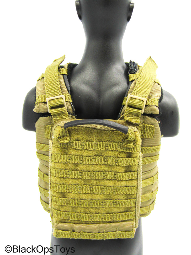 Load image into Gallery viewer, Flagset - Coyote Tan MOLLE Combat Vest
