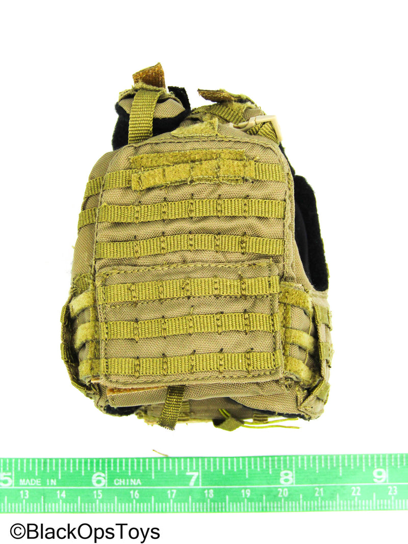 Load image into Gallery viewer, Flagset - Coyote Tan MOLLE Combat Vest
