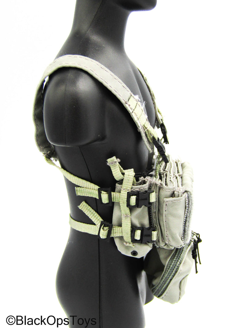 Load image into Gallery viewer, Navy Seal Team SF - Stealth Grey Spiritus Chest Rig
