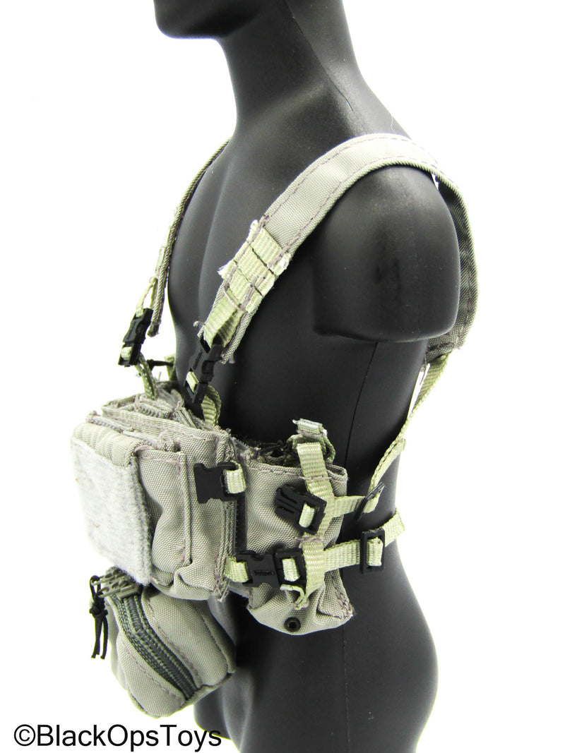 Load image into Gallery viewer, Navy Seal Team SF - Stealth Grey Spiritus Chest Rig
