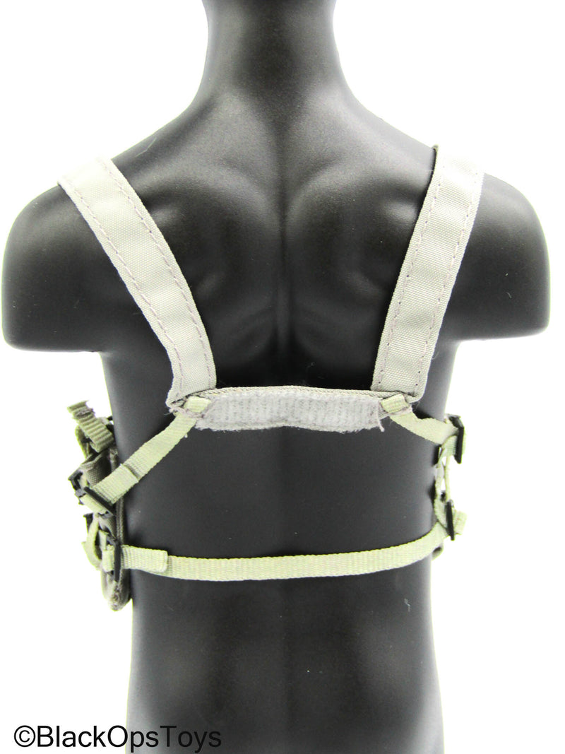 Load image into Gallery viewer, Navy Seal Team SF - Stealth Grey Spiritus Chest Rig

