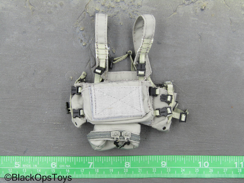 Load image into Gallery viewer, Navy Seal Team SF - Stealth Grey Spiritus Chest Rig
