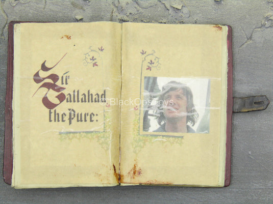 Monty Python THG - Gallahad The Pure Book