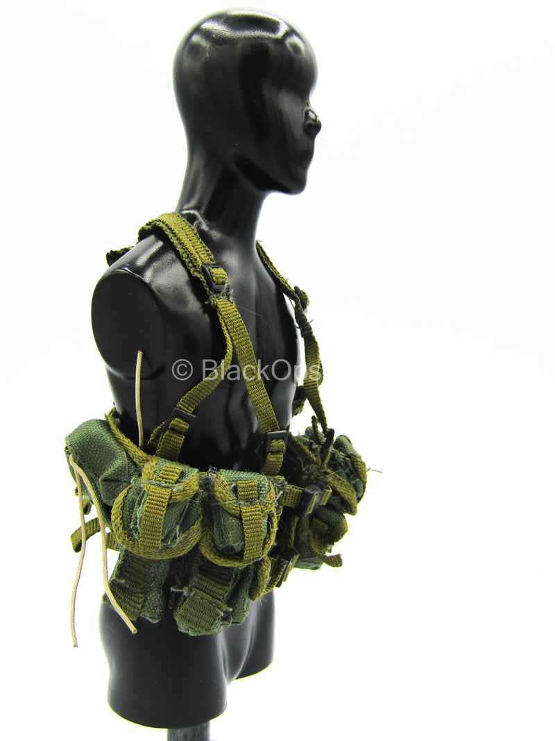 Load image into Gallery viewer, AFSOC - Green Chest Rig
