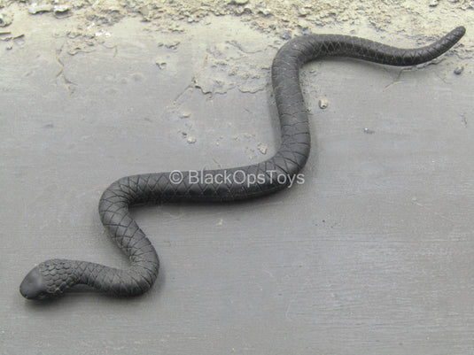 Indiana Jones Stunt Spectacular - Black Snake Type 1
