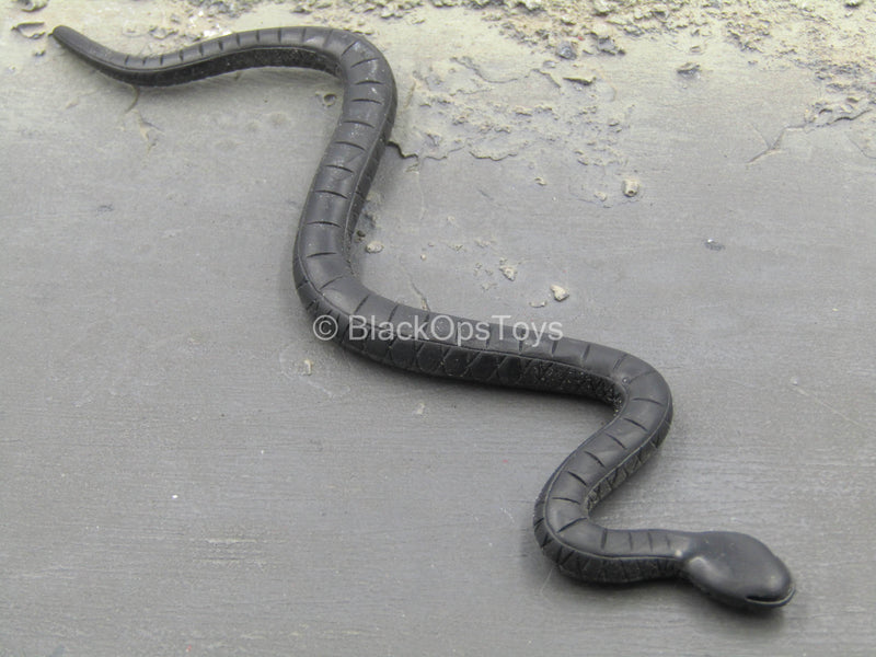 Load image into Gallery viewer, Indiana Jones Stunt Spectacular - Black Snake Type 1
