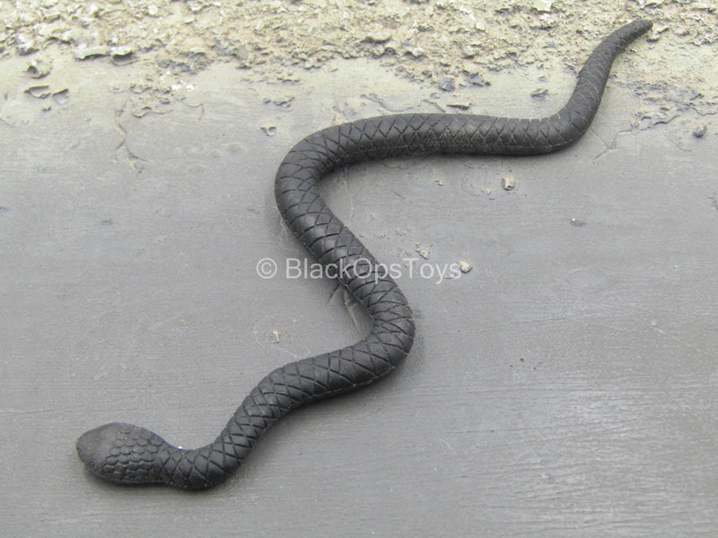 Load image into Gallery viewer, Indiana Jones Stunt Spectacular - Black Snake Type 2
