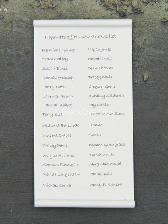 Prof. Minerva McGonagall - List Of New Hogwarts Students