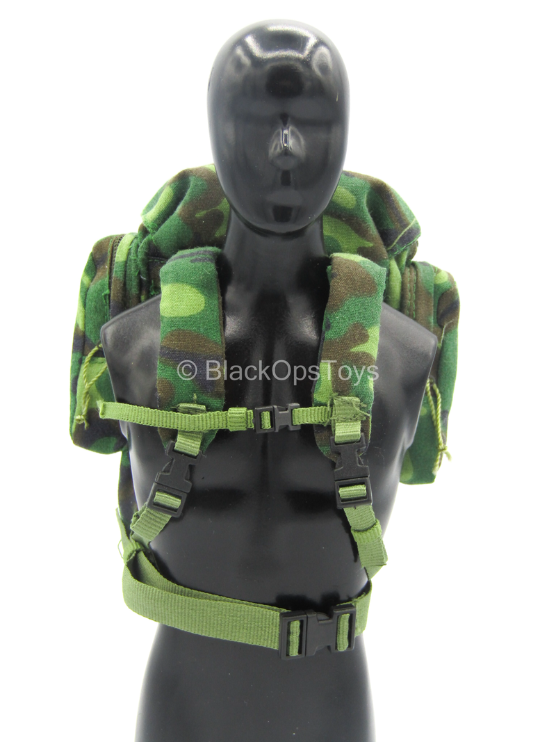 Load image into Gallery viewer, Chinese Peoples Armed Police Force - Woodland Backpack
