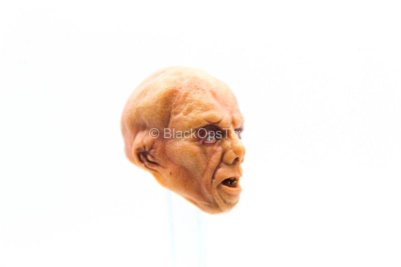 Load image into Gallery viewer, 1/12 - Jason Voorhees - Deformed Male Head Sculpt
