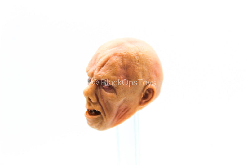 Load image into Gallery viewer, 1/12 - Jason Voorhees - Deformed Male Head Sculpt
