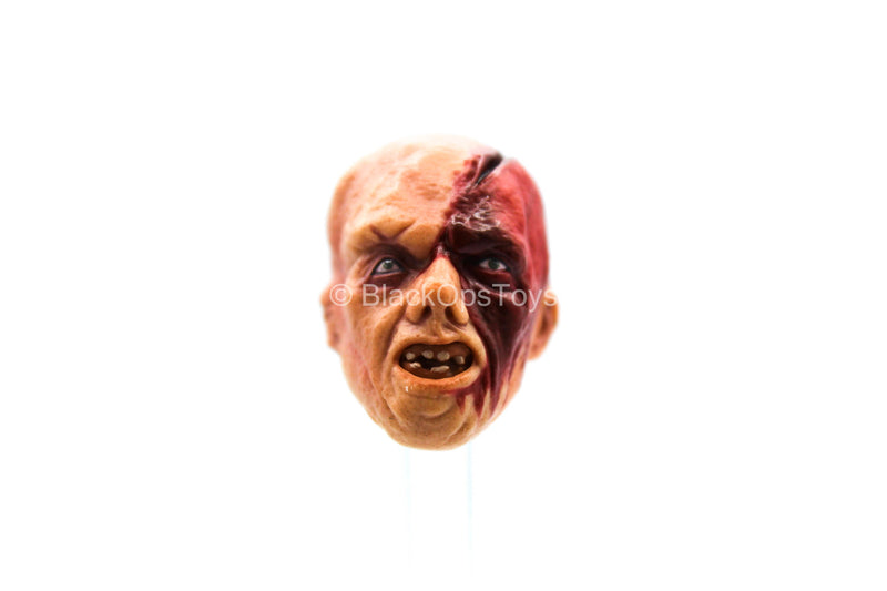 Load image into Gallery viewer, 1/12 - Jason Voorhees - Bloody Deformed Male Head Sculpt
