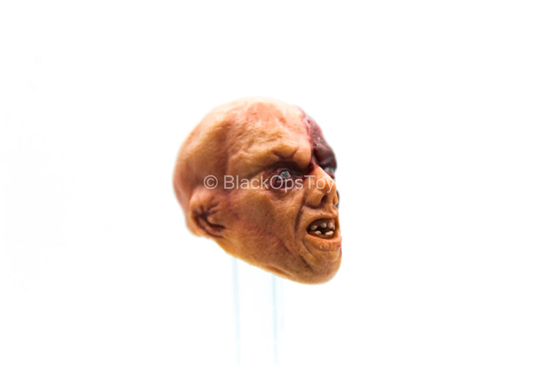 Load image into Gallery viewer, 1/12 - Jason Voorhees - Bloody Deformed Male Head Sculpt
