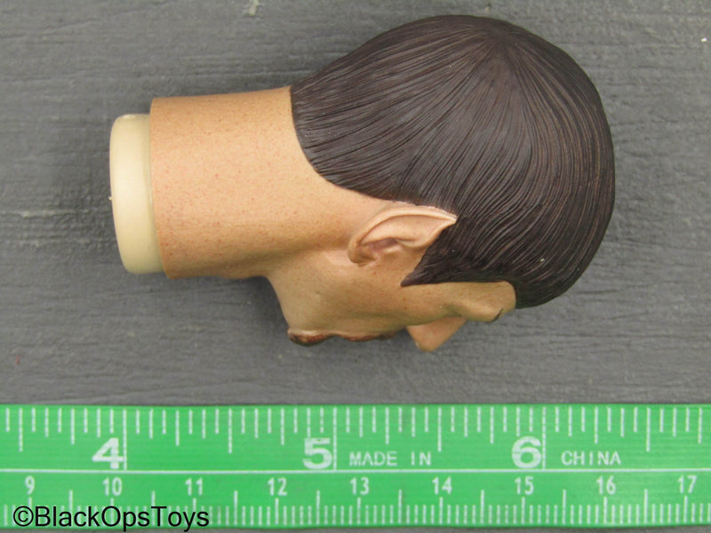 Load image into Gallery viewer, Star Trek TOS - Spock Mirror Universe - Male Head Sculpt w/Hands
