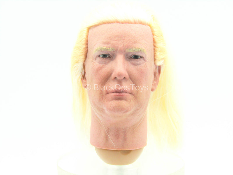 Load image into Gallery viewer, 2020 - President Donald Trump - Male Head Sculpt w/Real Hair
