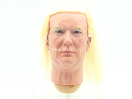 2020 - President Donald Trump - Male Head Sculpt w/Real Hair
