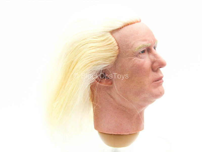 Load image into Gallery viewer, 2020 - President Donald Trump - Male Head Sculpt w/Real Hair
