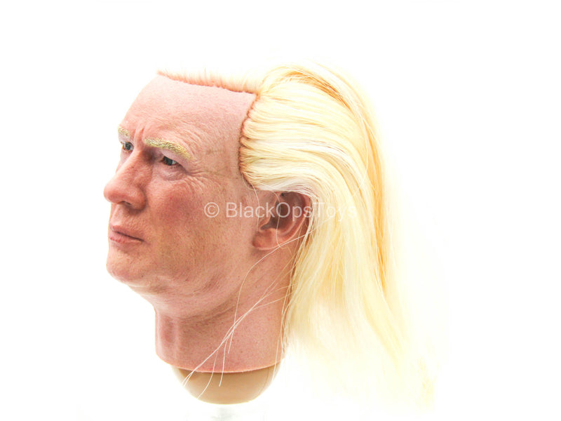 Load image into Gallery viewer, 2020 - President Donald Trump - Male Head Sculpt w/Real Hair
