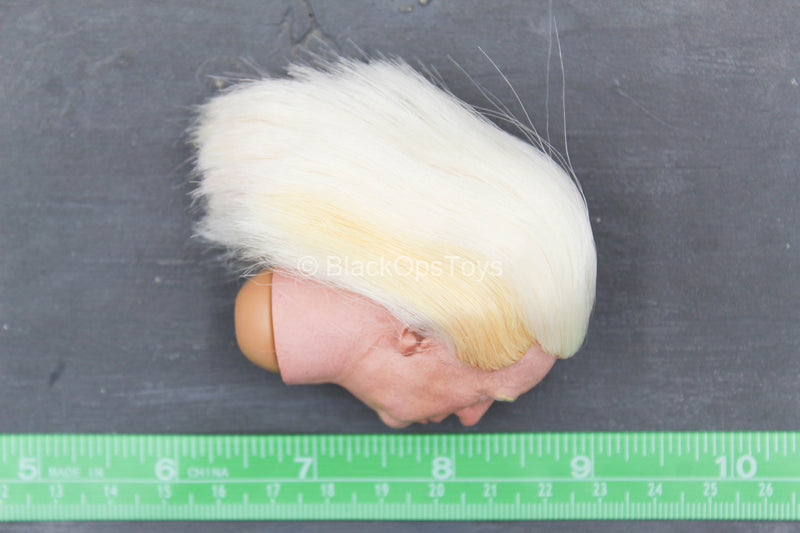 Load image into Gallery viewer, 2020 - President Donald Trump - Male Head Sculpt w/Real Hair
