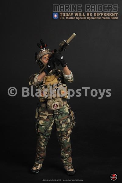 Load image into Gallery viewer, Marine Raiders - Low Vis MBAV Body Armor &amp; Chest Rig

