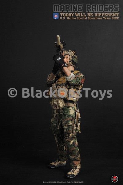Load image into Gallery viewer, Marine Raiders Special Operations Team 8222 Mint in Box
