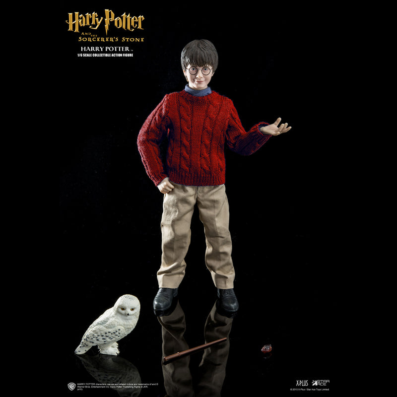 Load image into Gallery viewer, Harry Potter - Blue Long Sleeve Adolescent Sized Sweater
