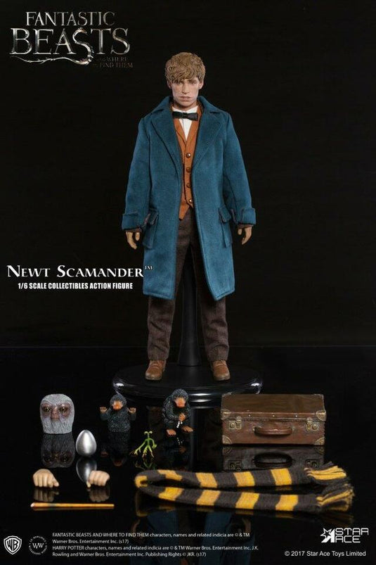 Fantastic Beast - Newt - Base Figure Stand