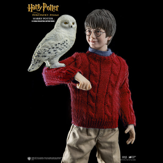Harry Potter - Blue Long Sleeve Adolescent Sized Sweater