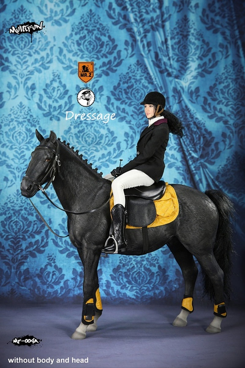 Load image into Gallery viewer, Female Equestrian Dressage Set w/Horse &amp; Body - MINT IN BOX
