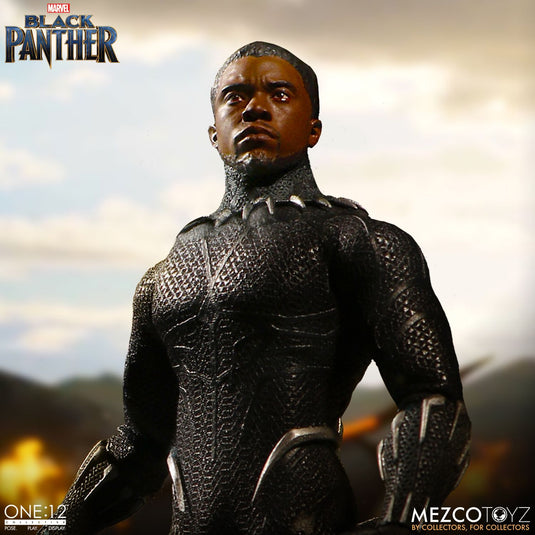 1/12 - Black Panther - Spear & Shield