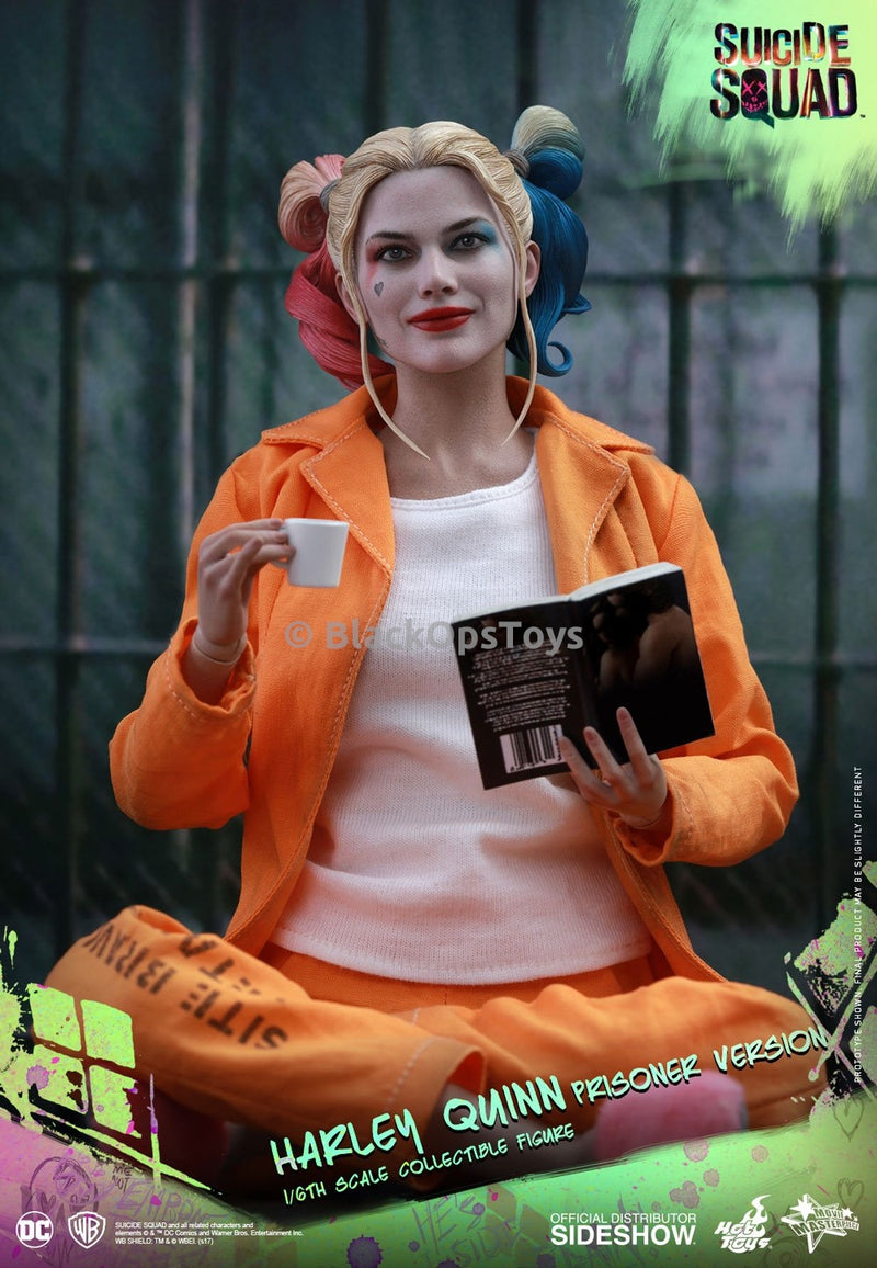 Load image into Gallery viewer, Hot Toys Harley Quinn Prison Version Book
