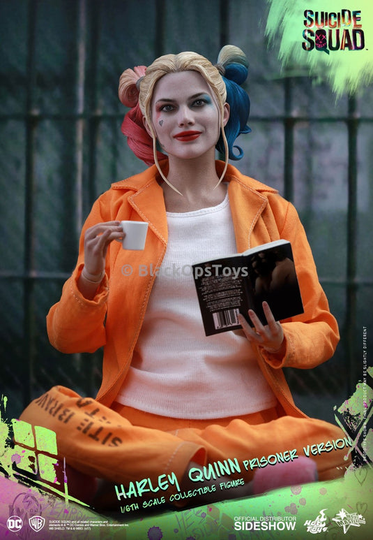 Hot Toys Harley Quinn Prison Version Book