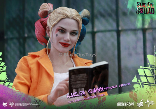 Hot Toys Harley Quinn Prison Version Book
