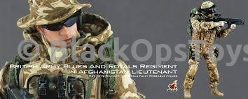 Load image into Gallery viewer, British Army Blues &amp; Royals Regiment Lieutenant Prince - MINT IN BOX
