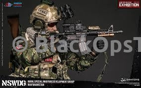 Load image into Gallery viewer, RARE - NSWDG in Afghanistan - 2017 SHCC Exhibition Exclusive - MINT IN BOX
