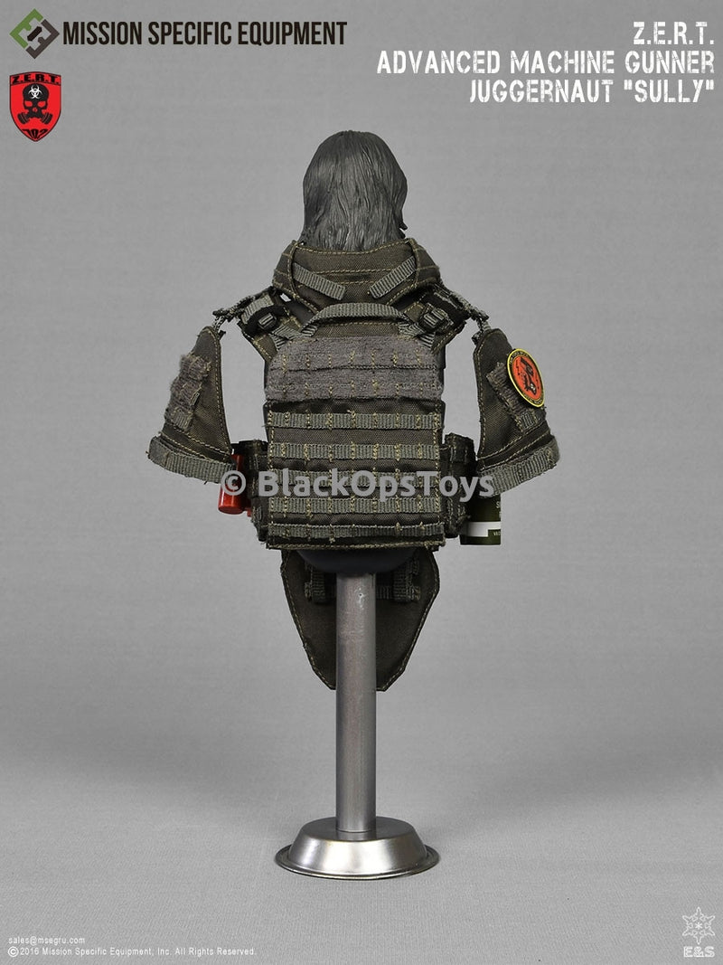 Load image into Gallery viewer, ZERT AMG Juggernaut Sully Wolf Grey ASIA Exclusive Mint In Box
