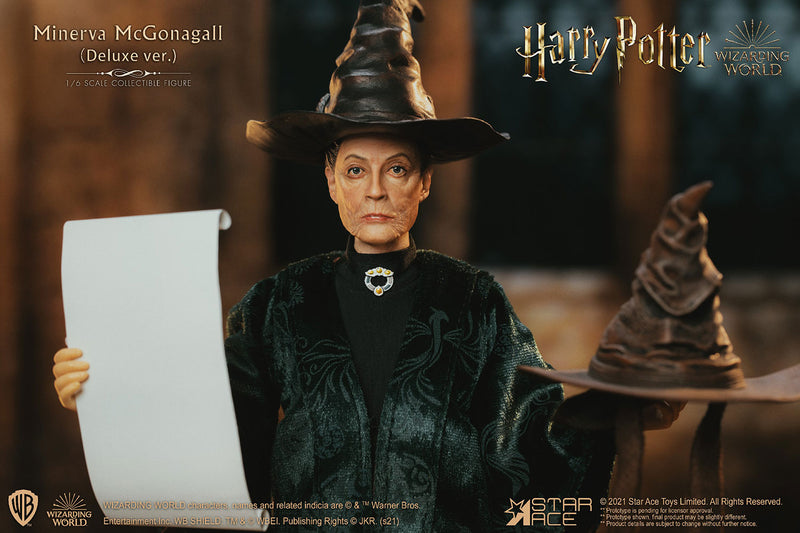 Load image into Gallery viewer, Harry Potter - Minerva McGonagall DELUXE Version - MINT IN BOX
