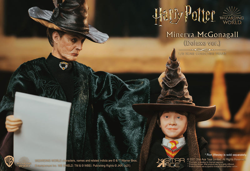 Load image into Gallery viewer, Harry Potter - Minerva McGonagall DELUXE Version - MINT IN BOX
