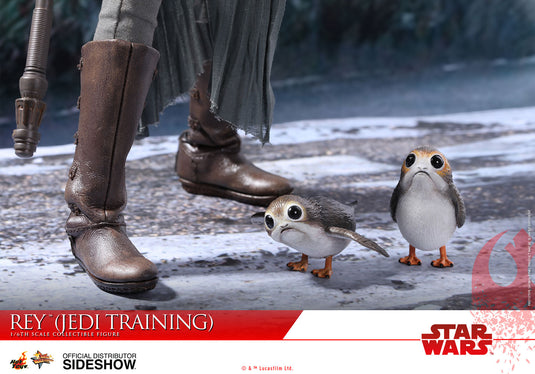 Star Wars - Rey Jedi Training - MINT IN OPEN BOX