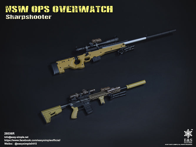 Load image into Gallery viewer, NSW OPS Overwatch Sharpshooter - MINT IN BOX
